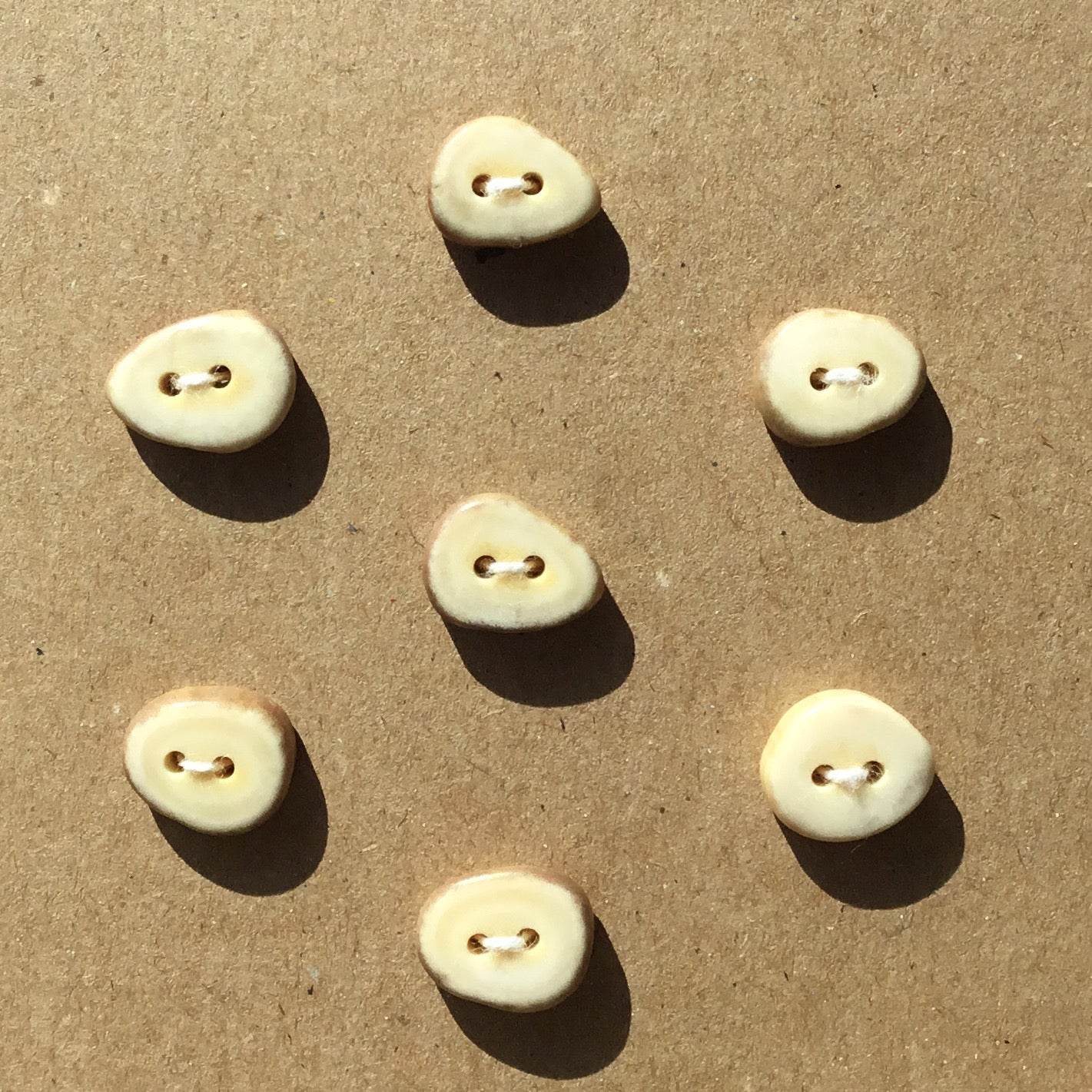 Polished Deer Antler Shed Buttons  9/16"  7-Pack