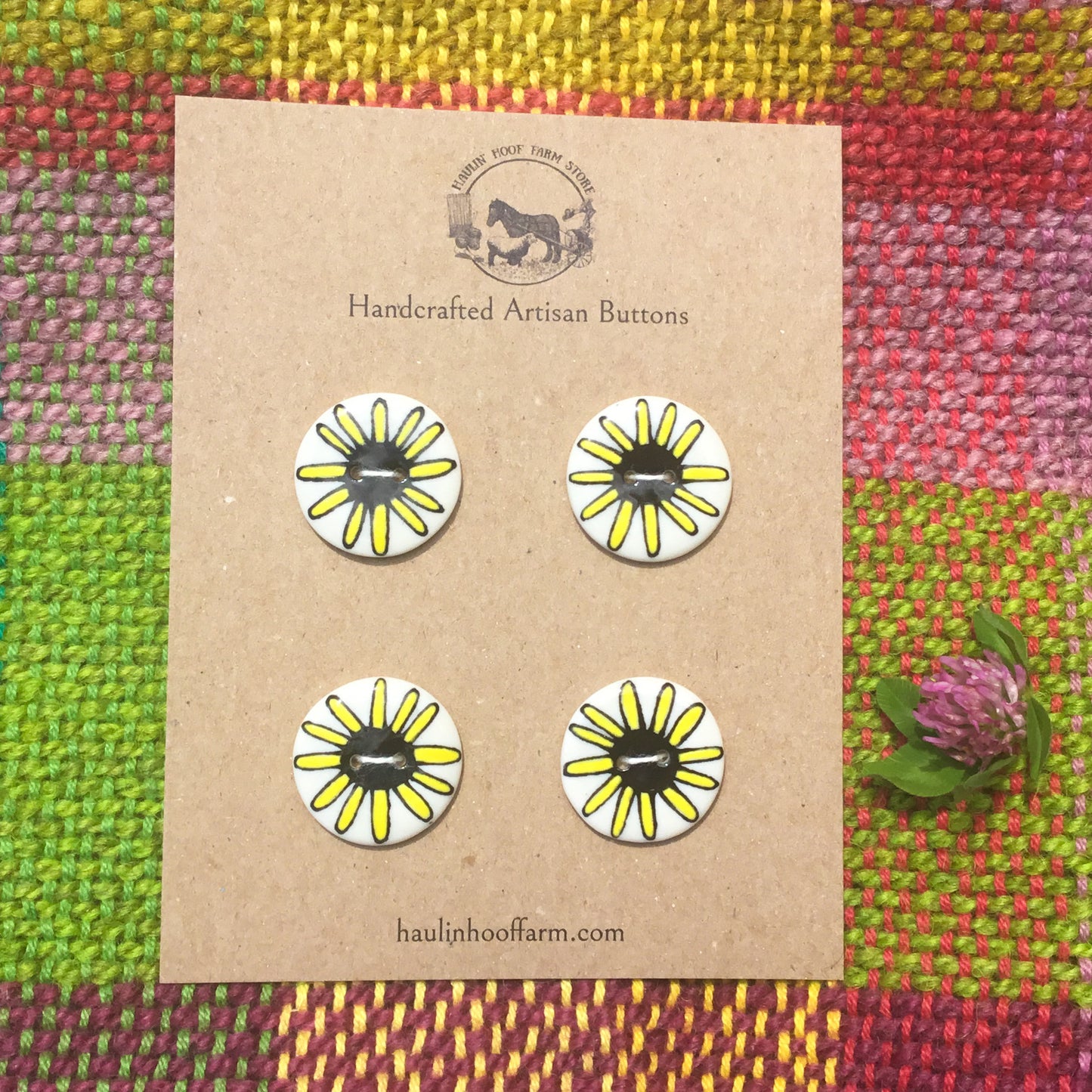 Black-Eyed Susan Heads Porcelain Button Set - 1”