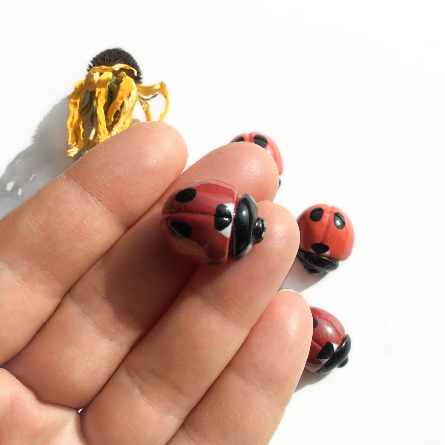Hand-sculpted Ladybird Beetle Shank Buttons