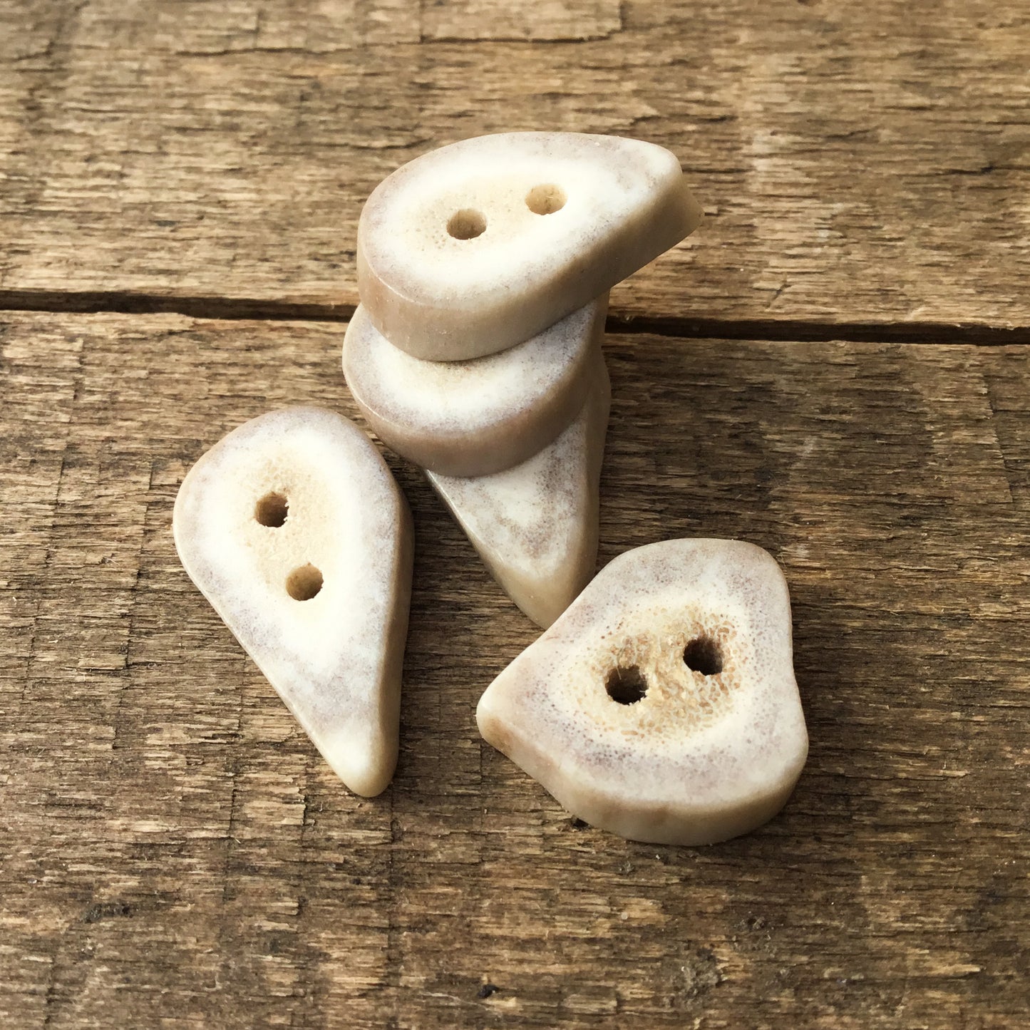 Deer Antler Shed Buttons  1/2" to 7/8" - 5 Pack