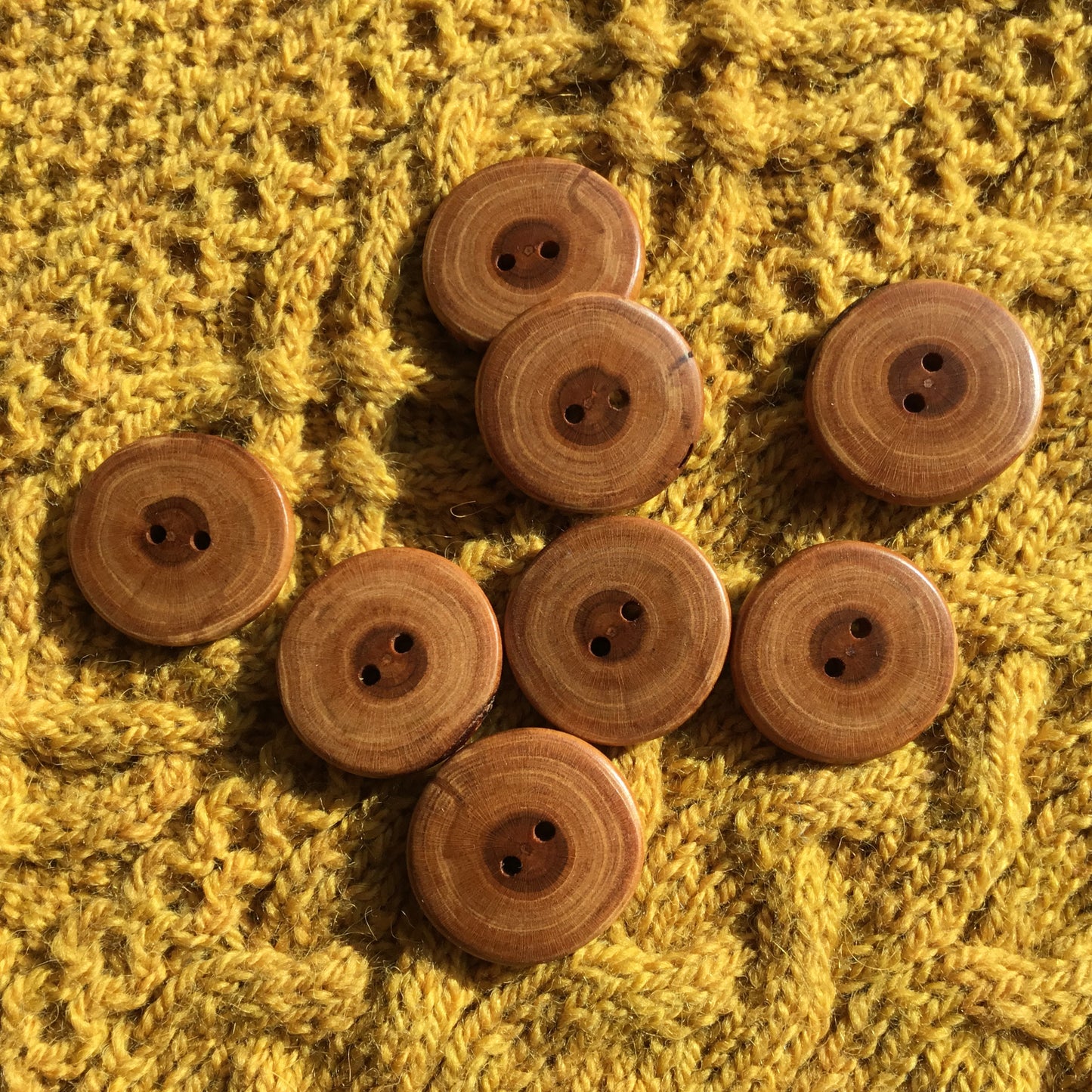 Polished Cherry Wood Cross-section Buttons  1-1/8”