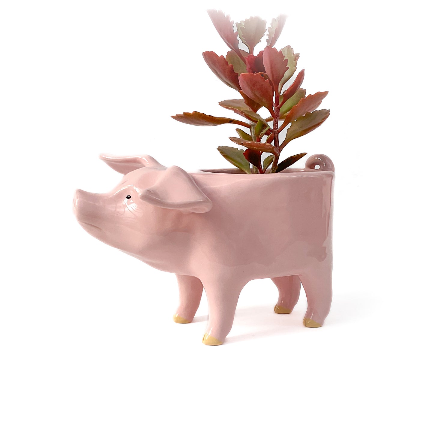 Pink Yorkshire Pig Pot