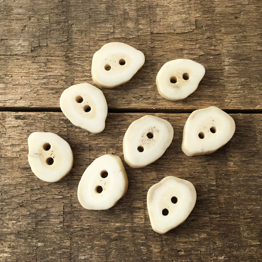 Deer Antler Shed Buttons 1/2" to 5/8" - 8 Pack