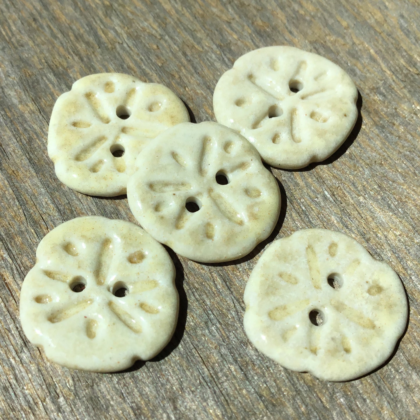 Sand Dollar Porcelain Button  11/16”