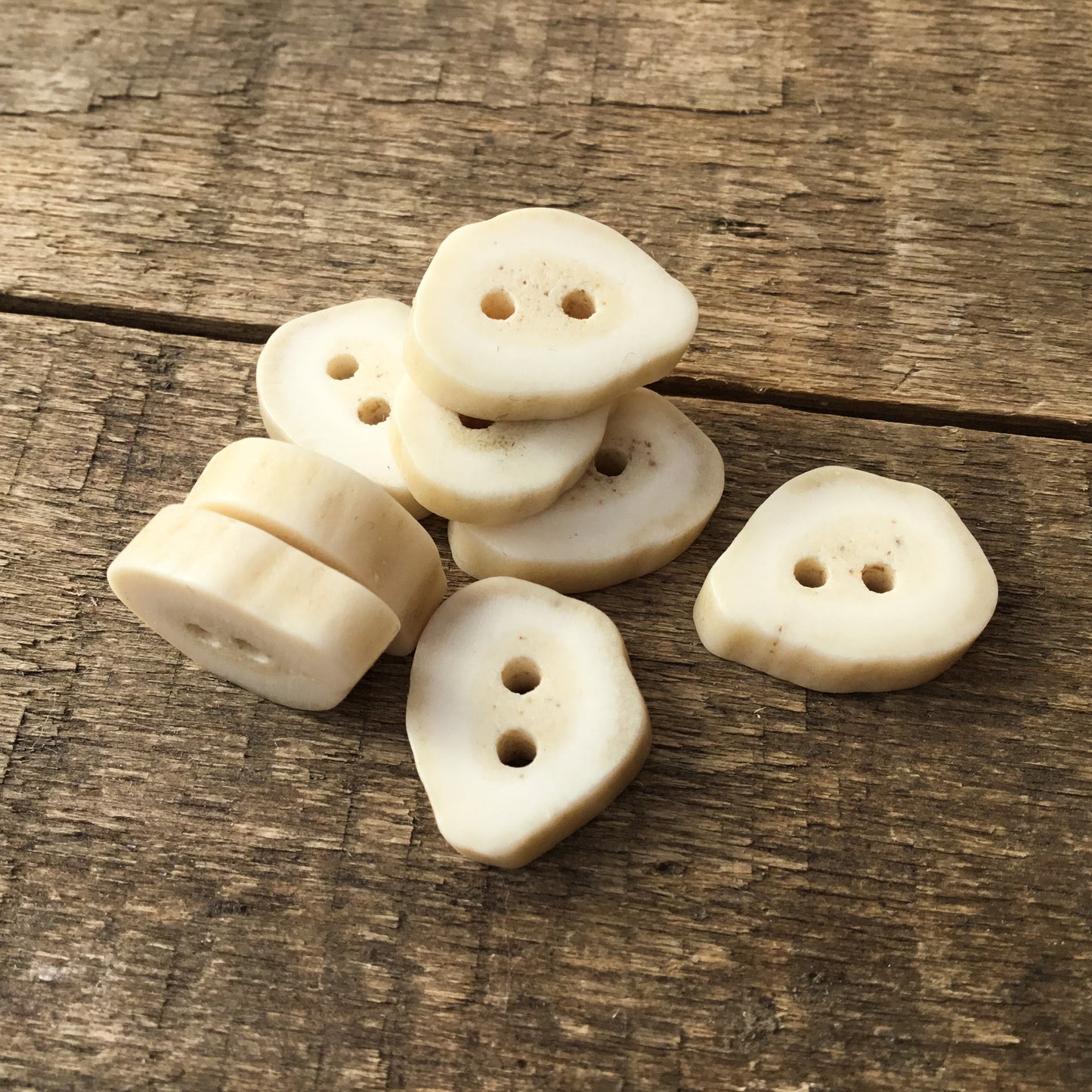 Deer Antler Shed Buttons 1/2" to 5/8" - 8 Pack