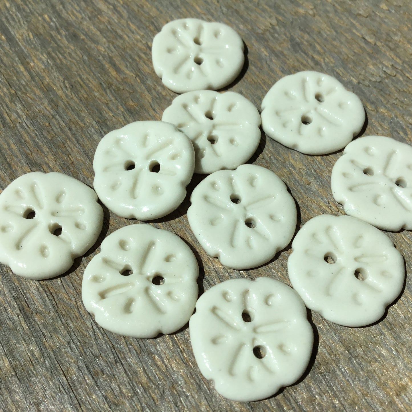 Sand Dollar Porcelain Button  11/16”