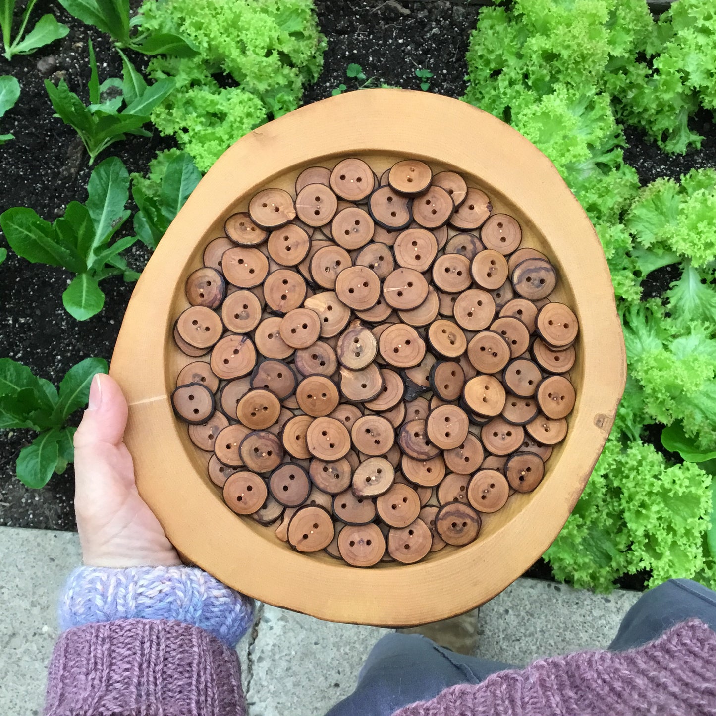 Bulk ‘Rustic’ Live Edge Cherry Wood Buttons - 3/4”