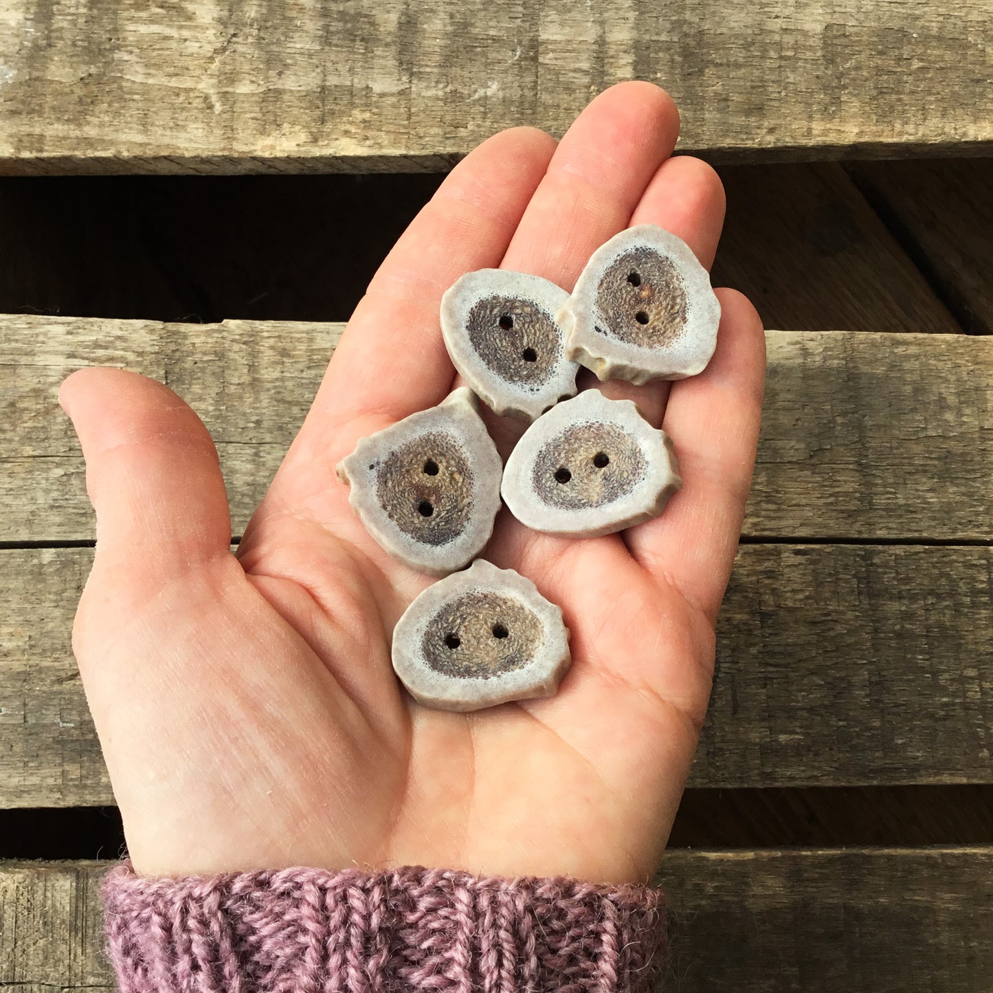 Deer Antler Shed Buttons  7/8" x 1" - 5 pack