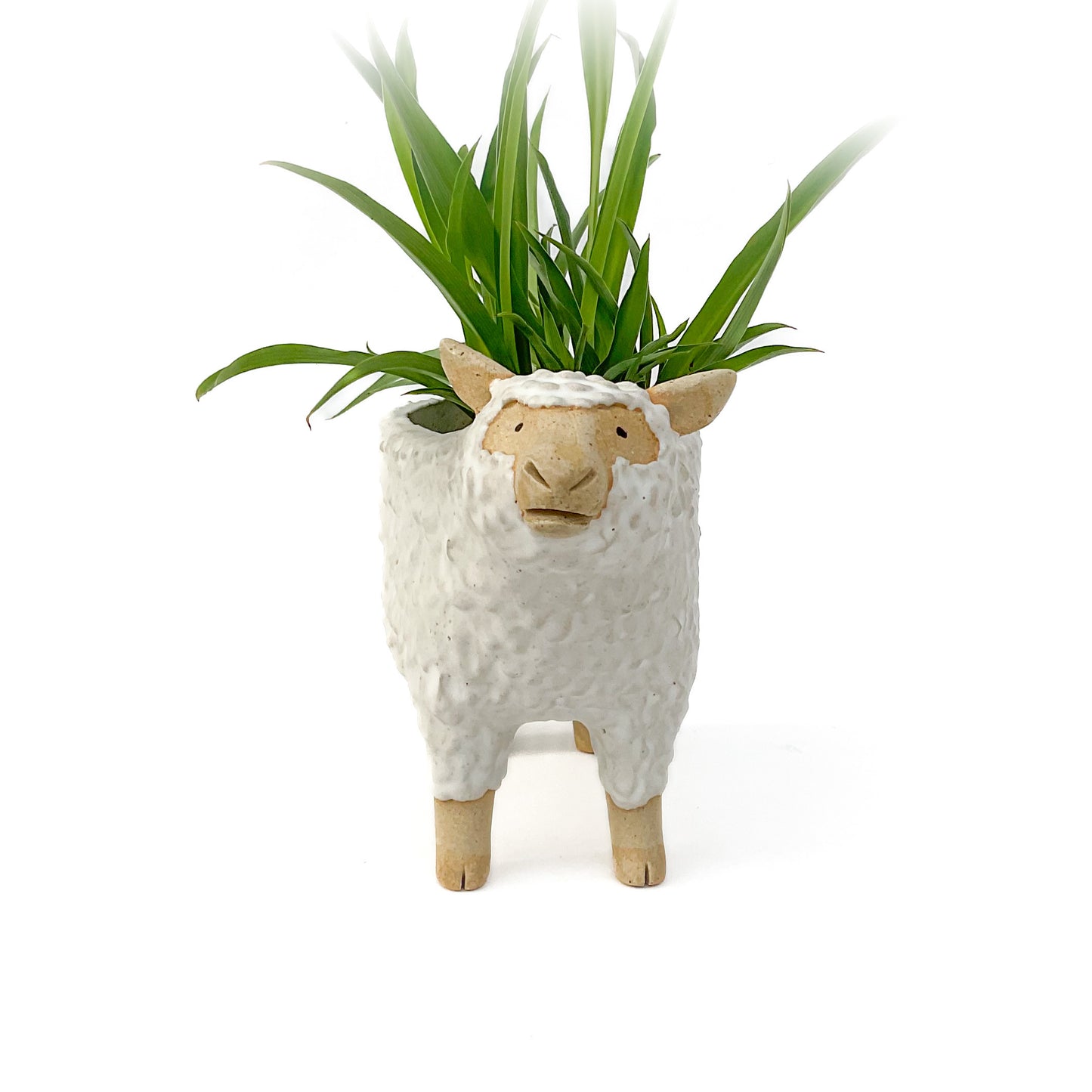 Stoneware Sheep Pot - Ceramic Sheep Planter