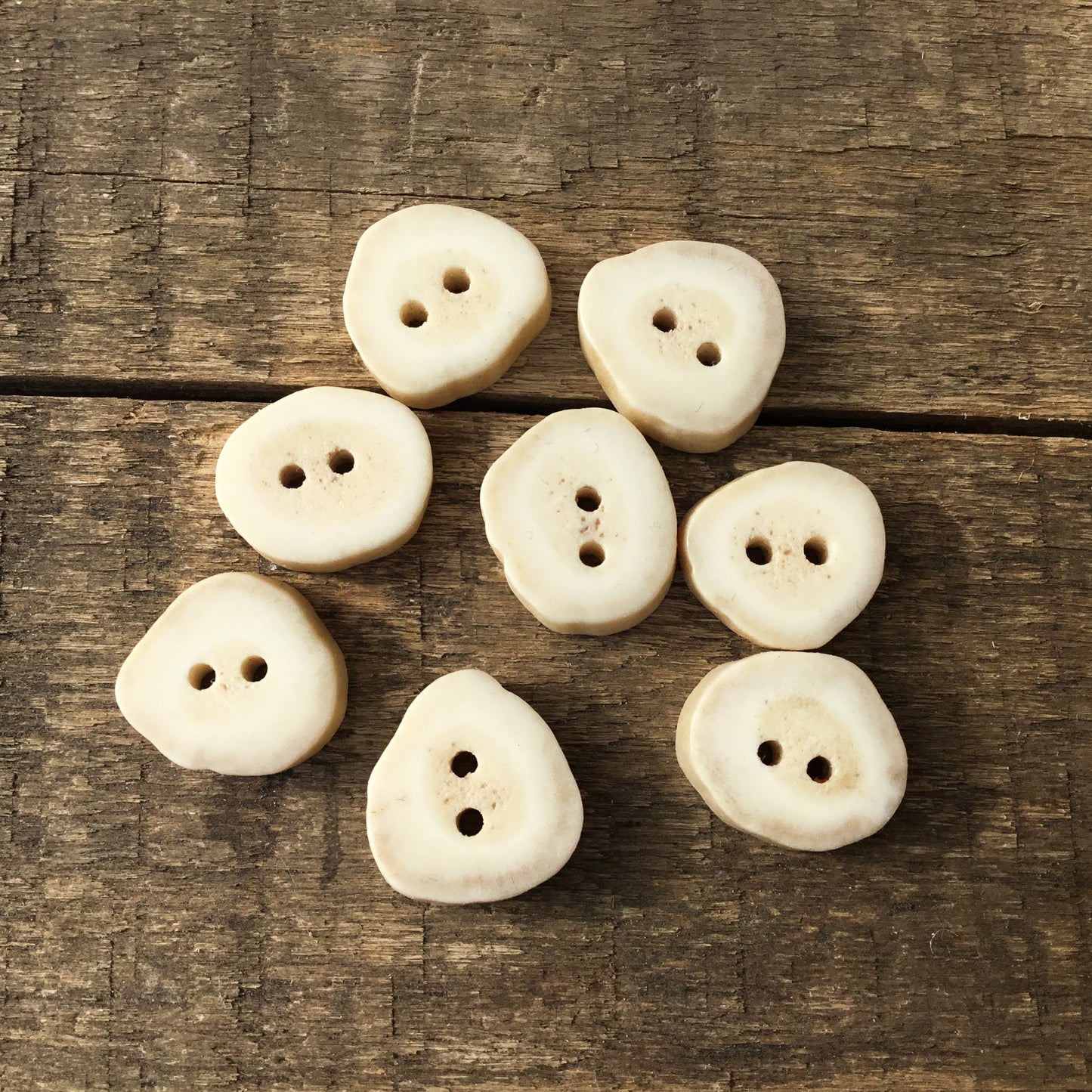 Deer Antler Shed Buttons  5/8" -  8 Pack