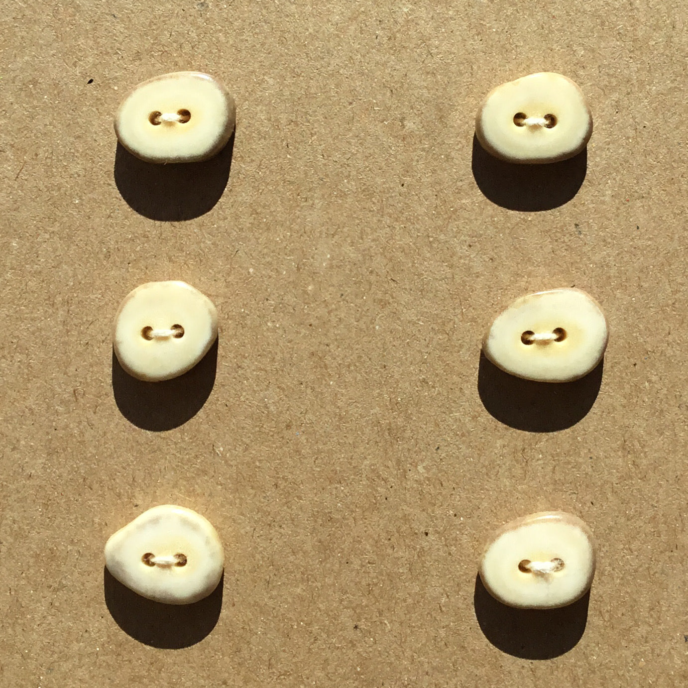 Polished Deer Antler Shed Buttons  5/8"  6-Pack