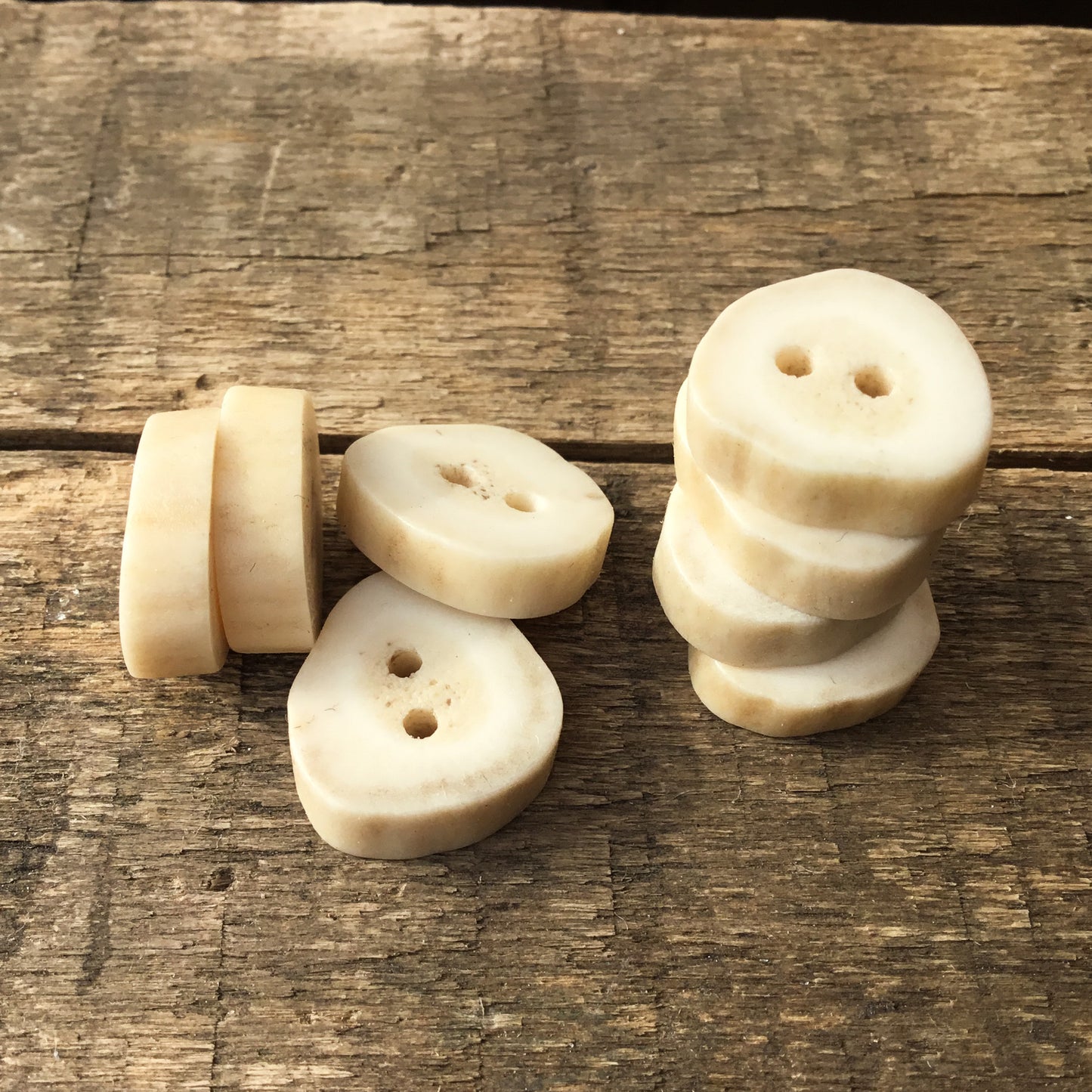 Deer Antler Shed Buttons  5/8" -  8 Pack