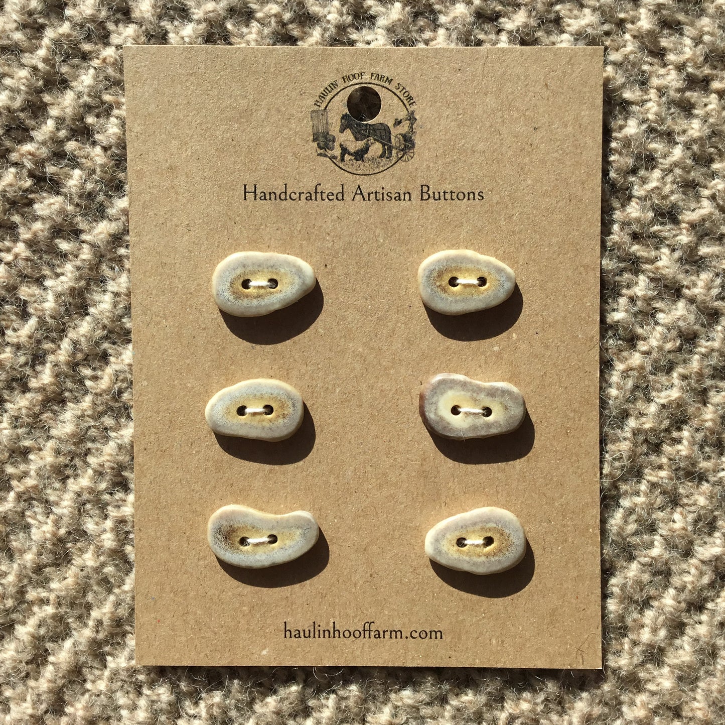 Polished Deer Antler Shed Buttons  15/16"  6-Pack