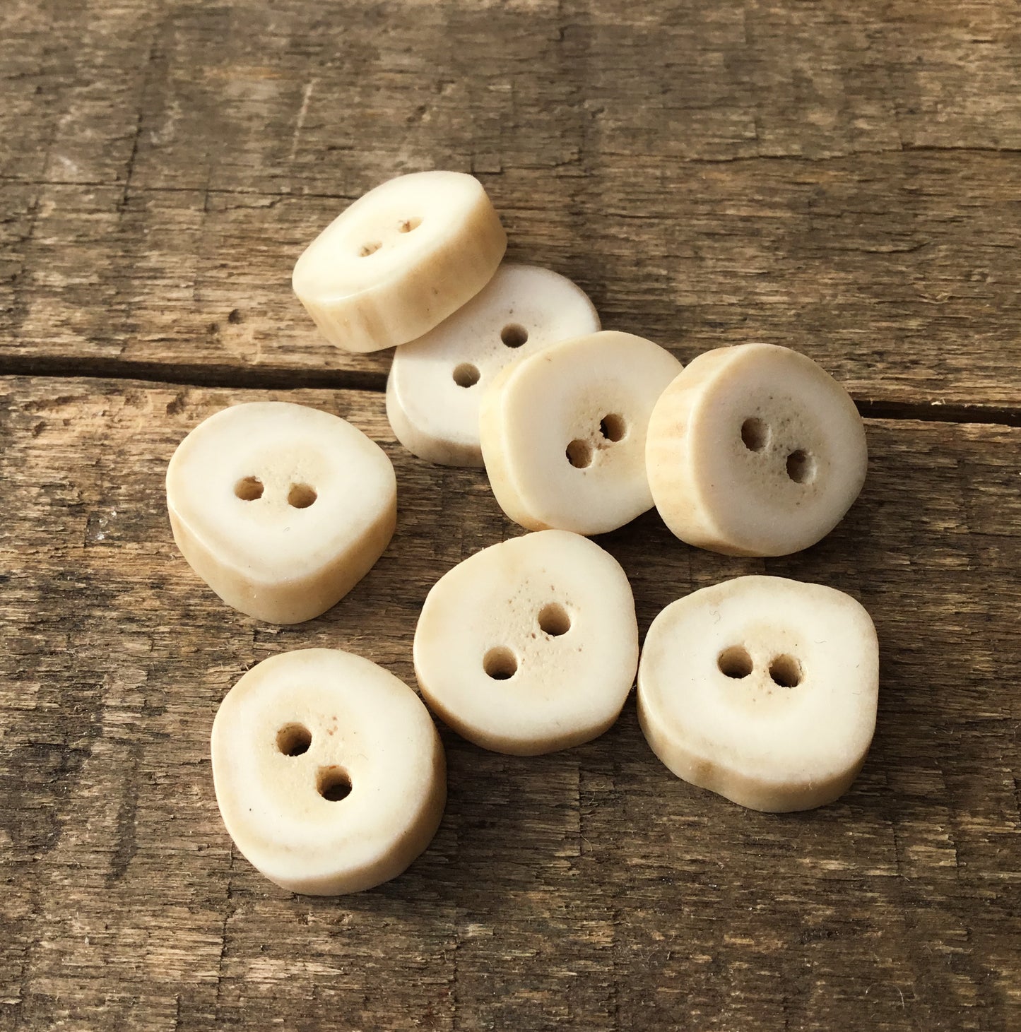 Deer Antler Shed Buttons  5/8" -  8 Pack