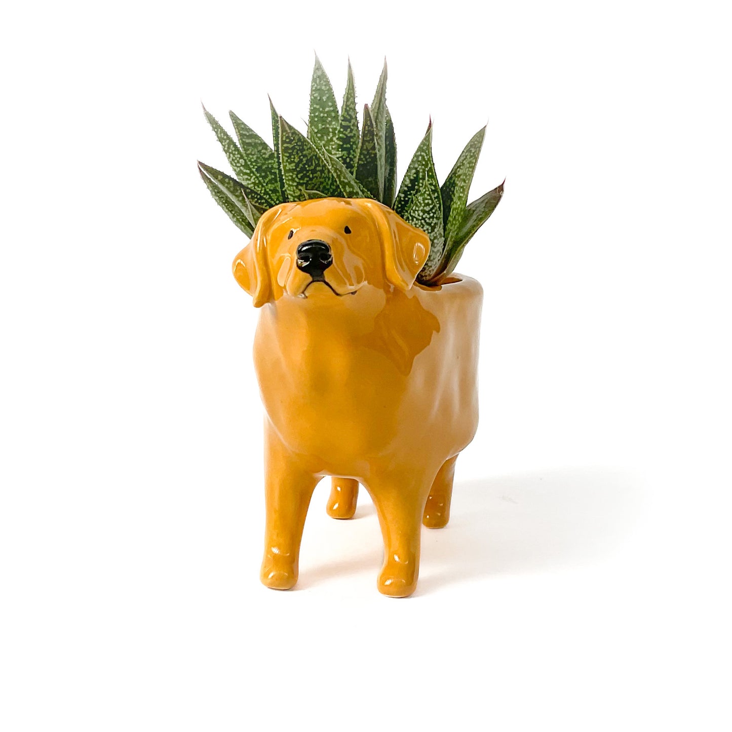 Golden Lab Dog Planter - Ceramic Dog Plant Pot