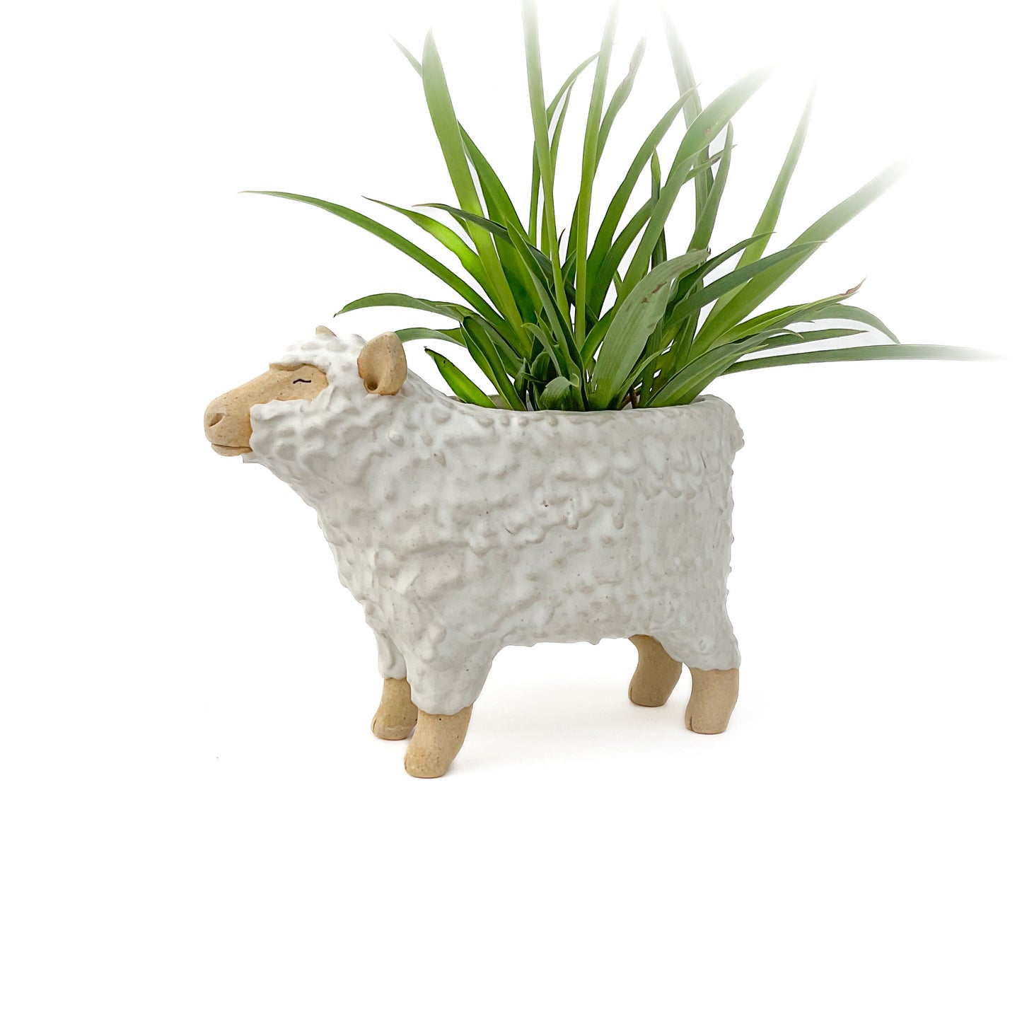 Stoneware Sheep Pot - Ceramic Sheep Planter