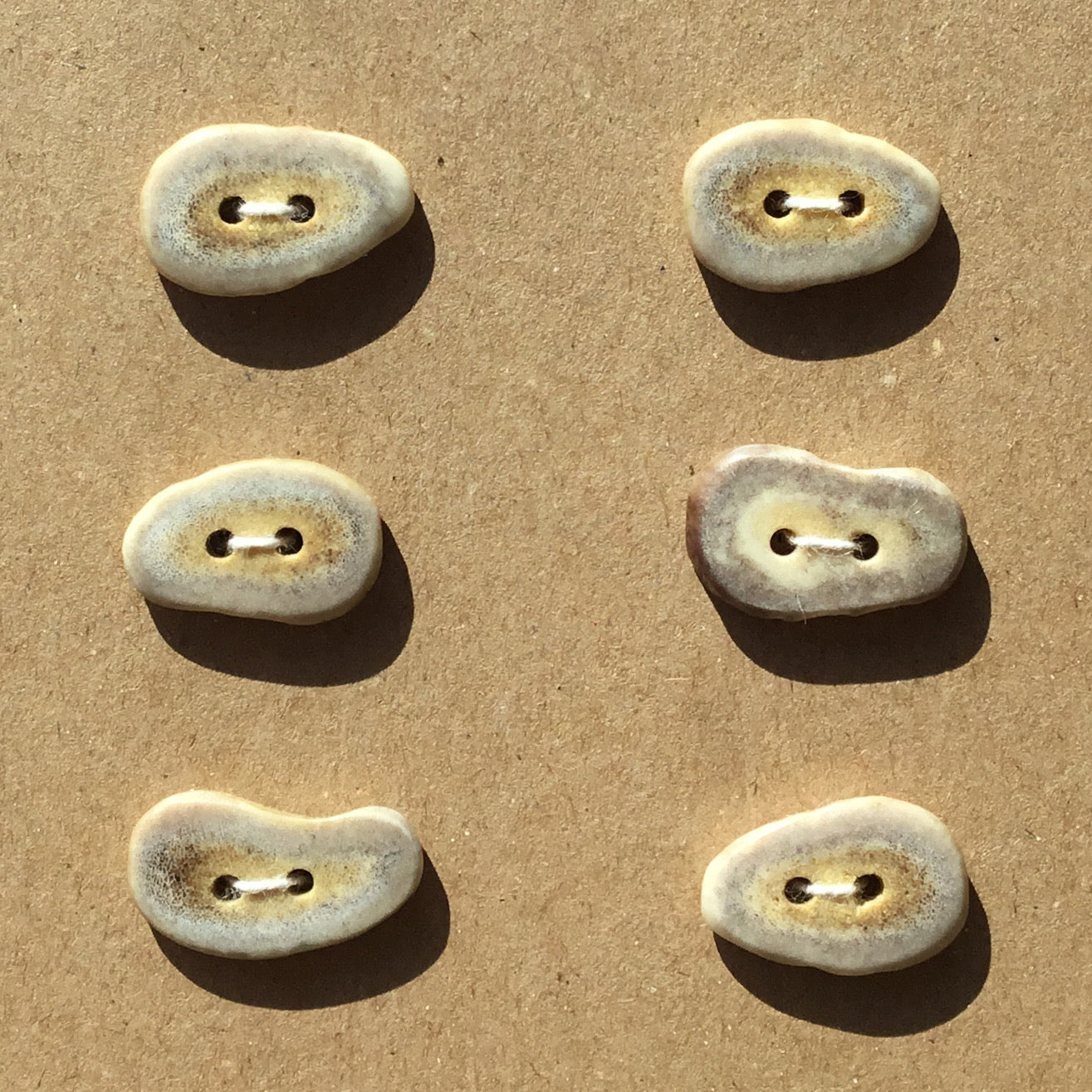 Polished Deer Antler Shed Buttons  15/16"  6-Pack