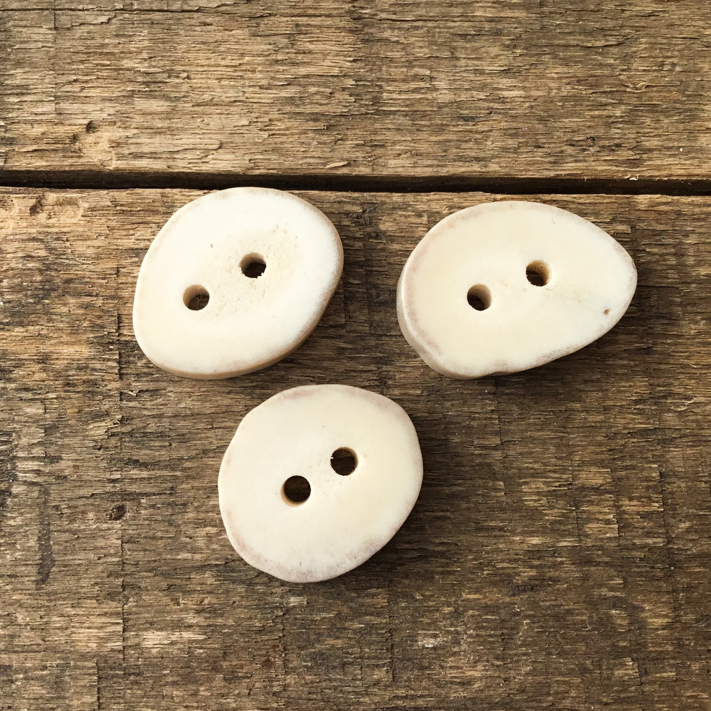 Deer Antler Shed Buttons - 5/8" x 3/4" 3 Pack