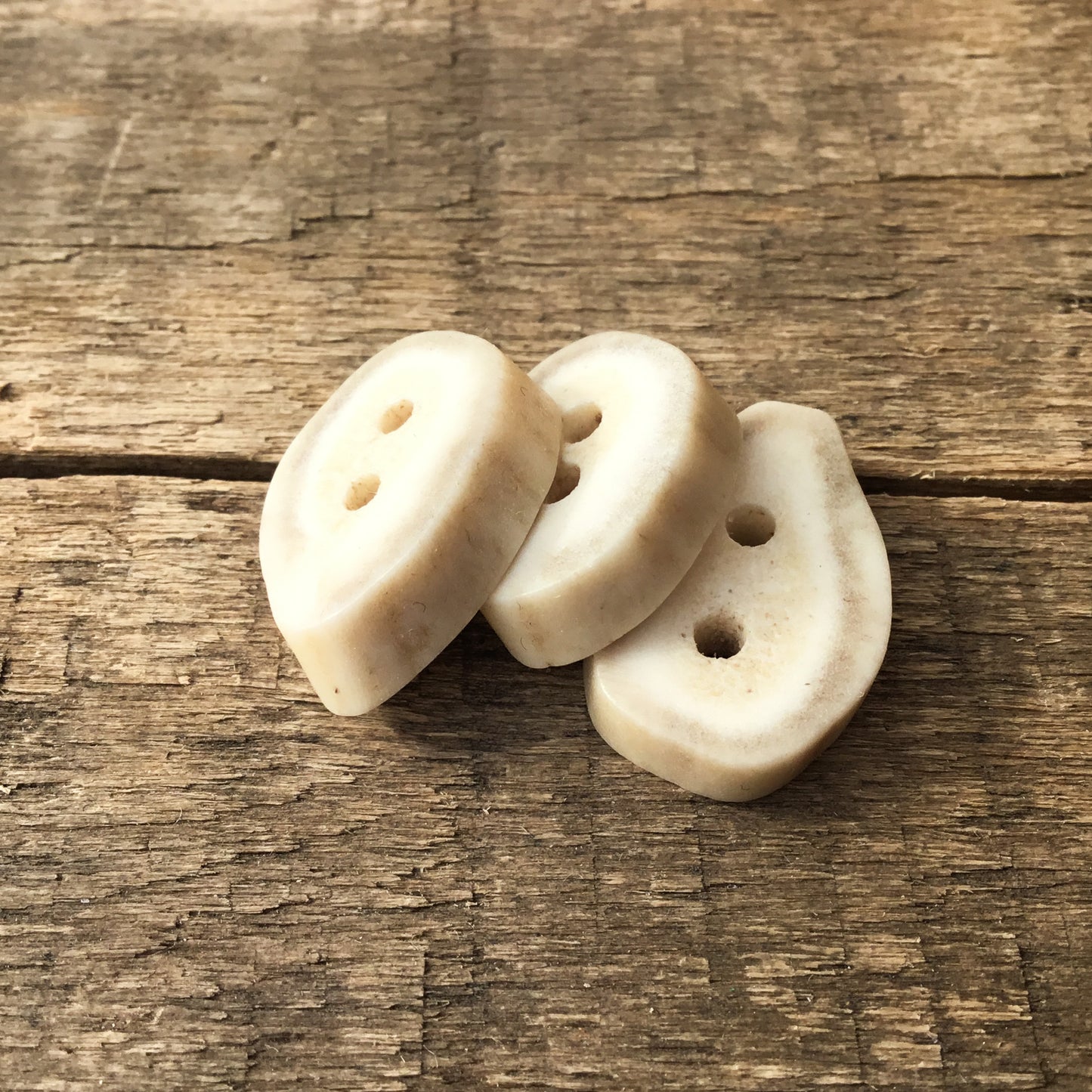 Deer Antler Shed Buttons  9/16" x 3/4" - 3 Pack