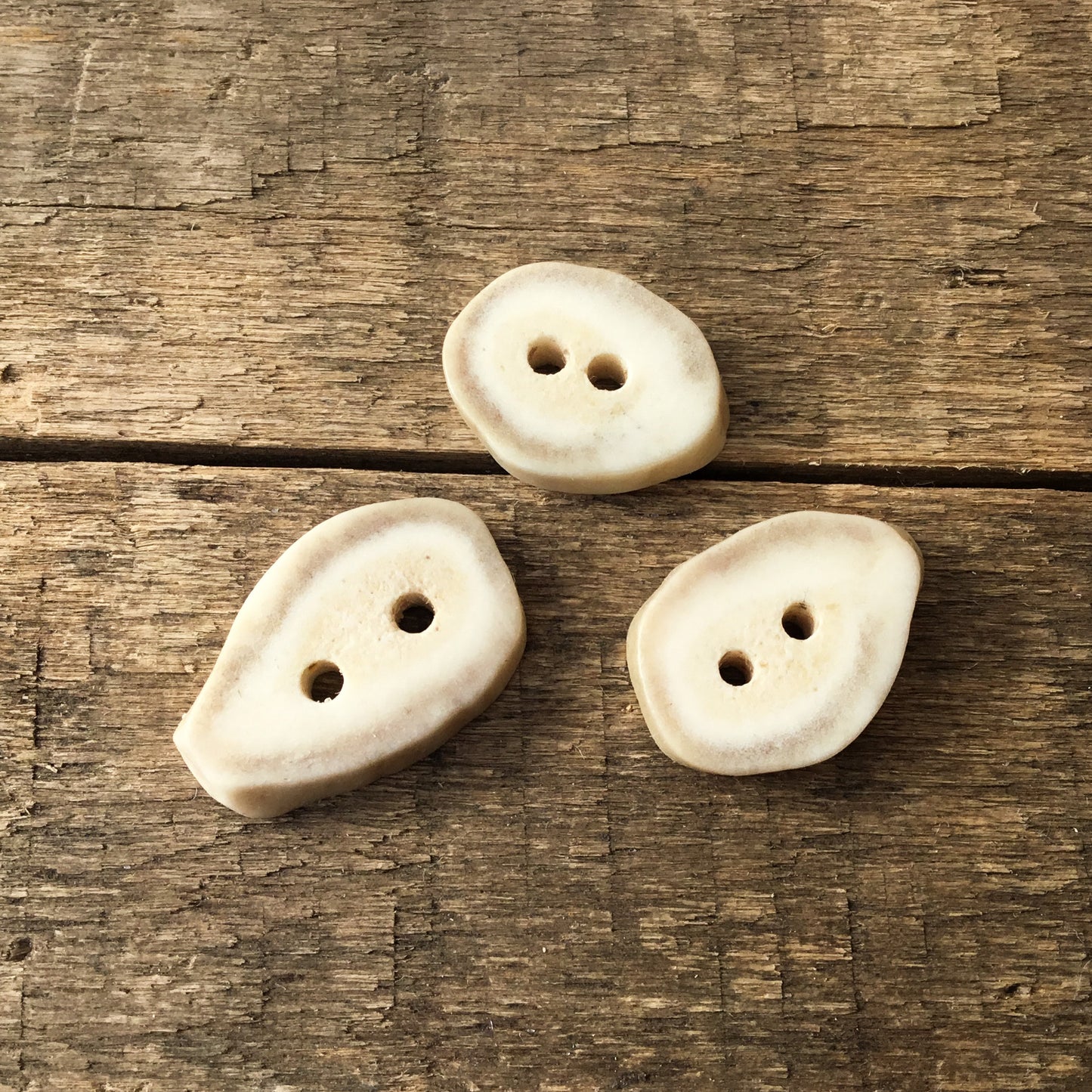 Deer Antler Shed Buttons  9/16" x 3/4" - 3 Pack