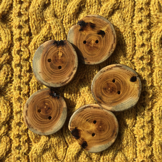 Polished Mulberry Wood Cross-section Buttons  1-3/4”