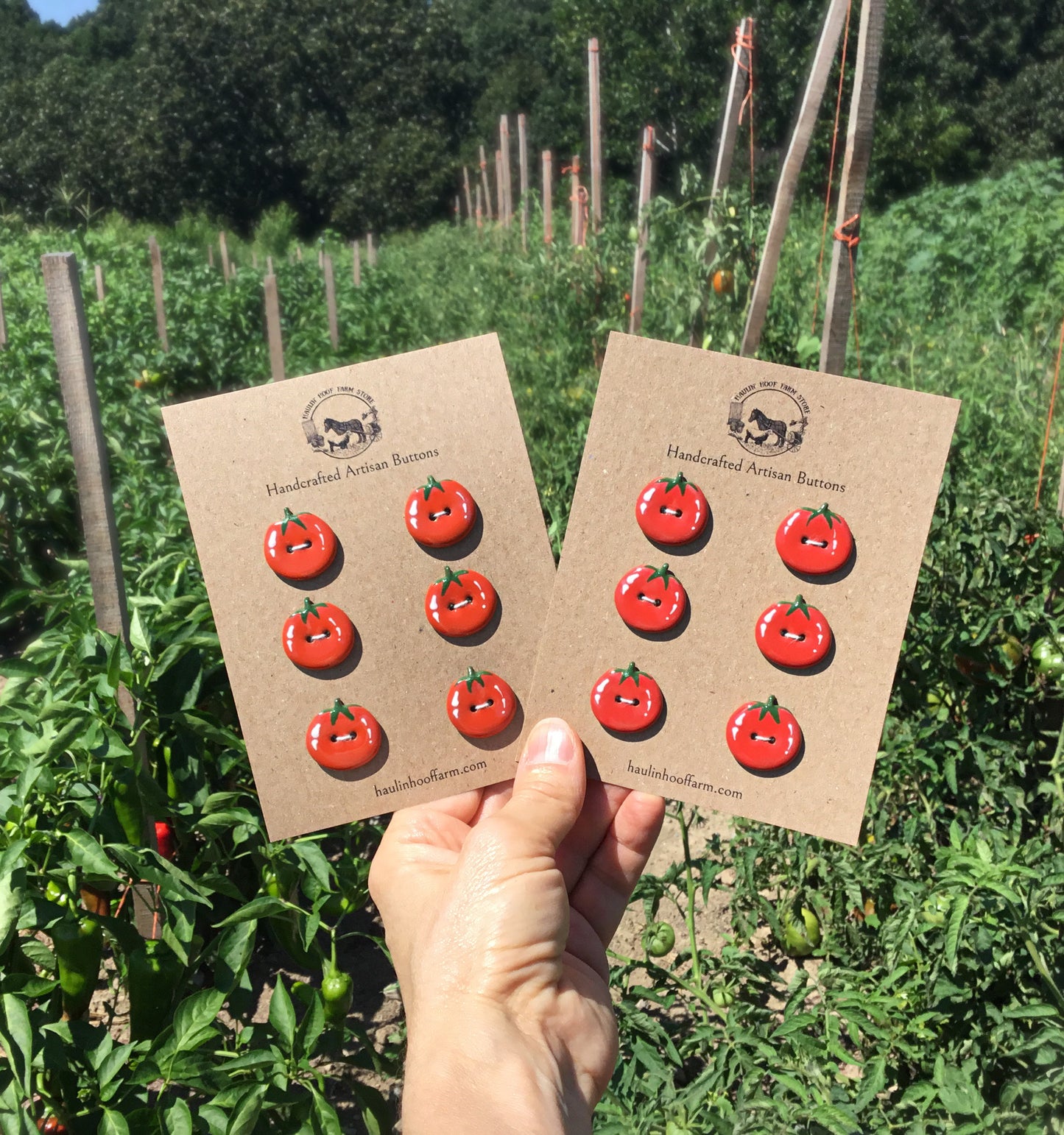 Tomato Buttons  7/8”