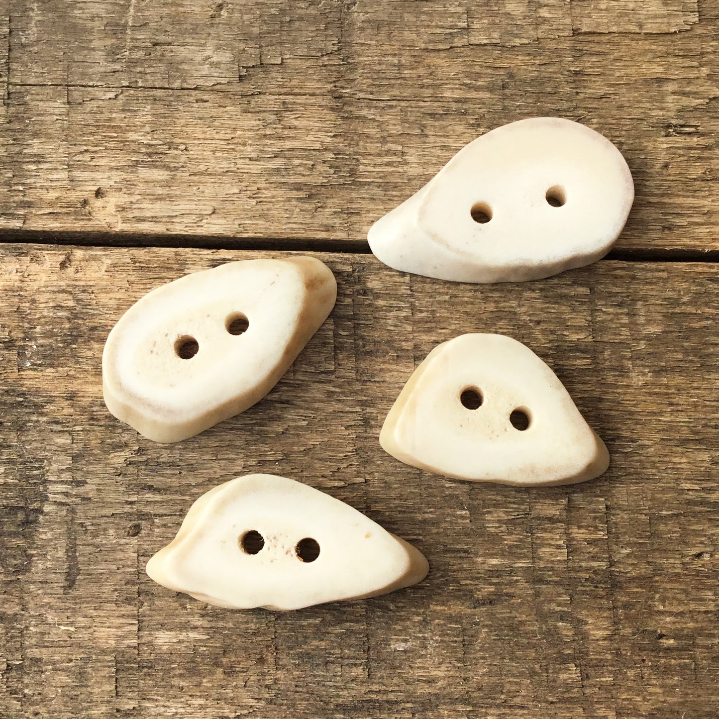 Deer Antler Shed Buttons  5/8" x 1" 4 Pack