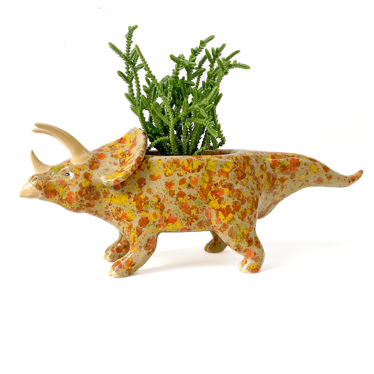 Triceratops Dinosaur Planter - Dinosaur Succulent Planter