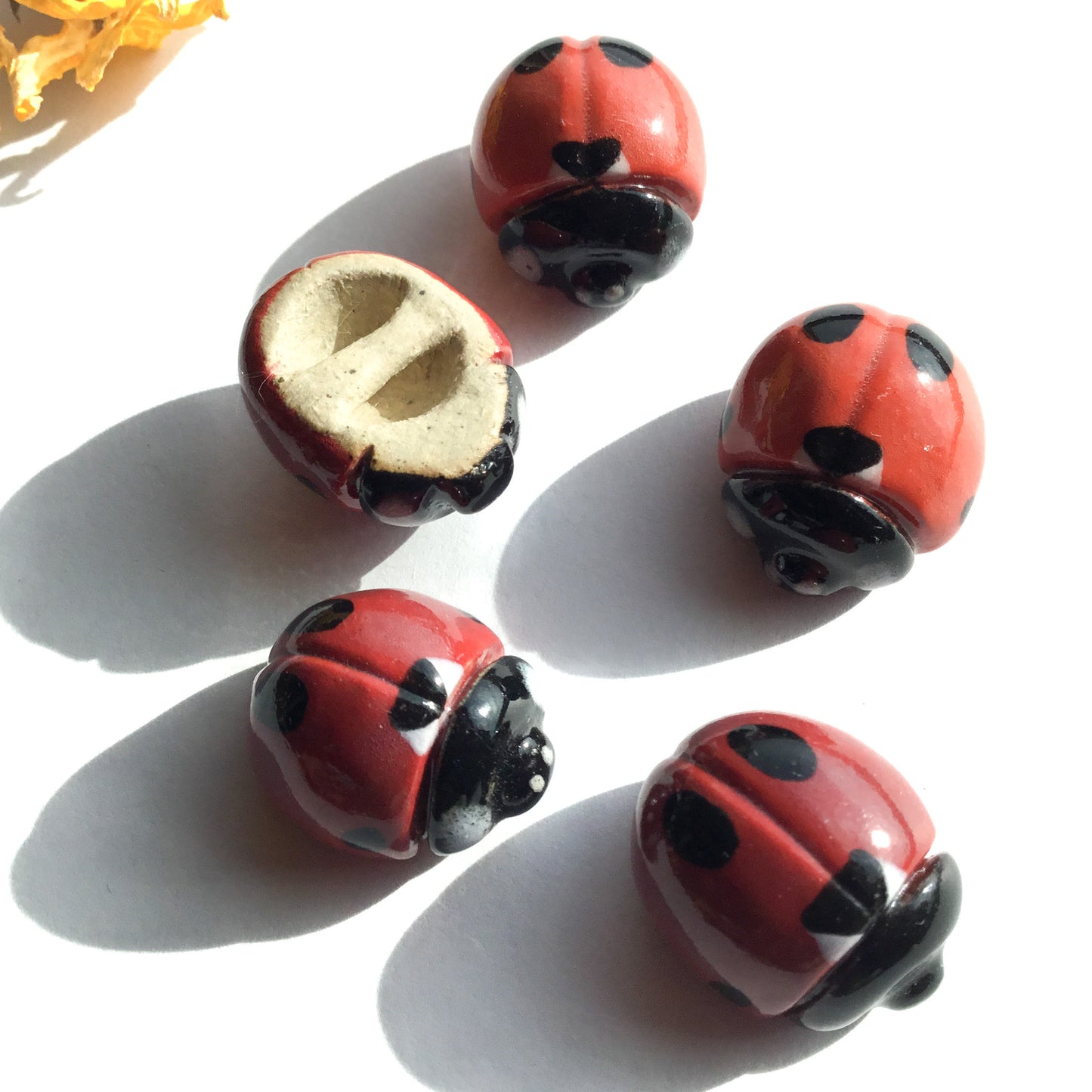 Hand-sculpted Ladybird Beetle Shank Buttons