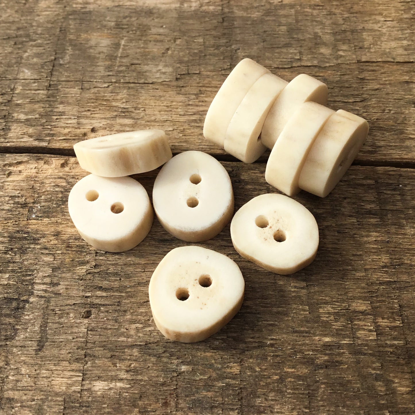 Deer Antler Shed Buttons  5/8" -  10 Pack