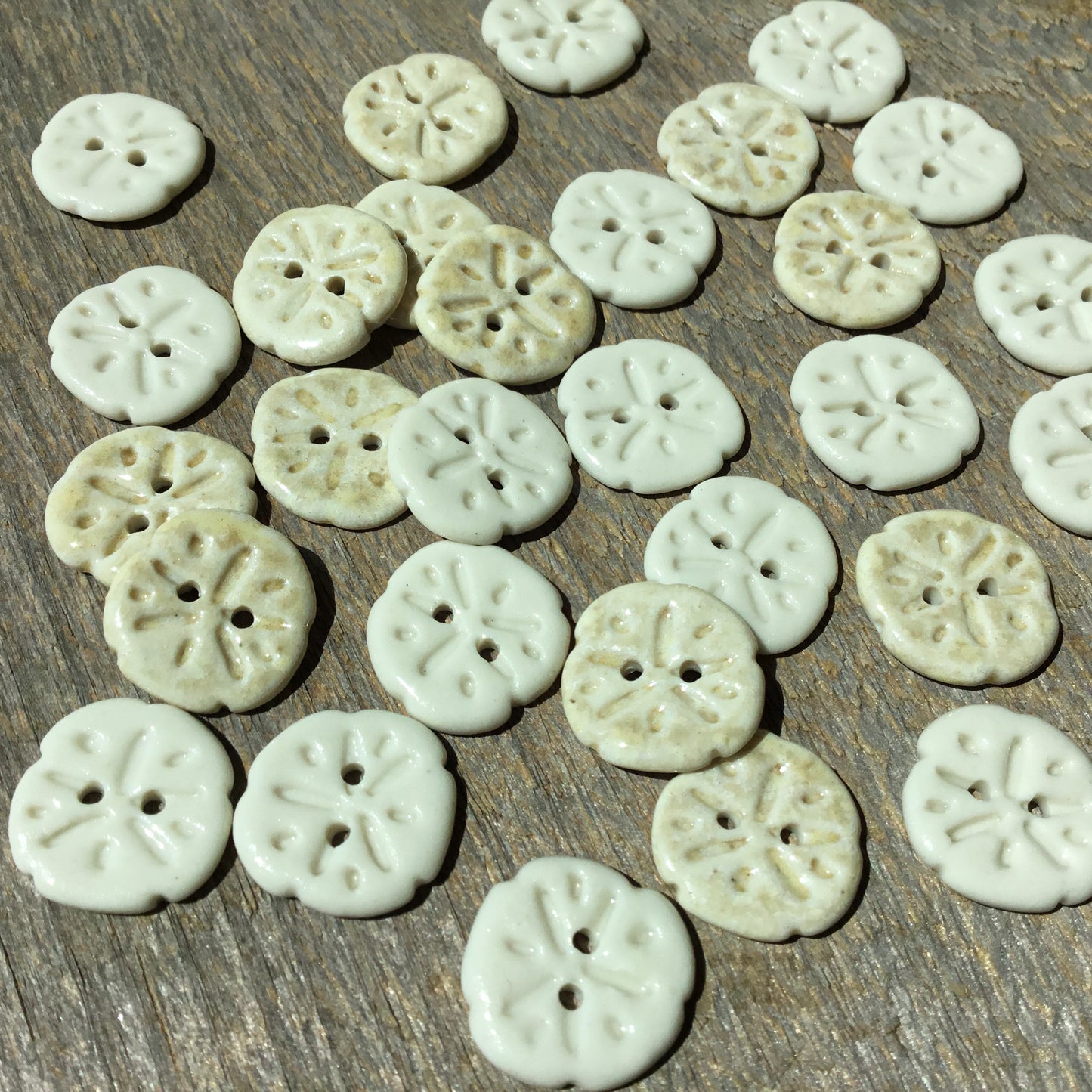 Sand Dollar Porcelain Button  11/16”