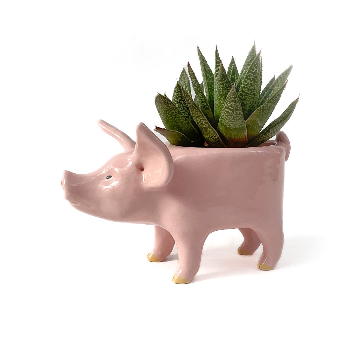 Pink Yorkshire Pig Pot