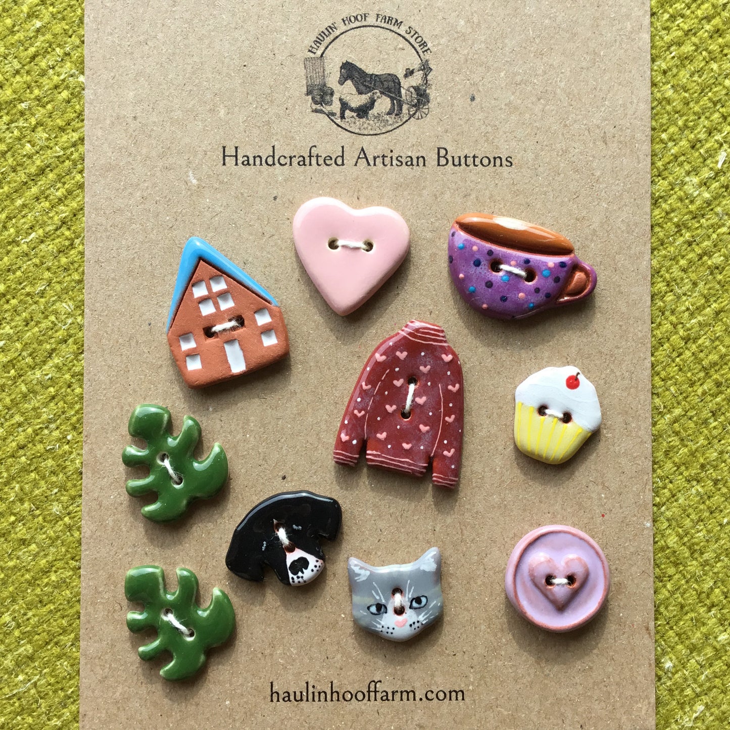 'Cozy at Home' Variety Packs