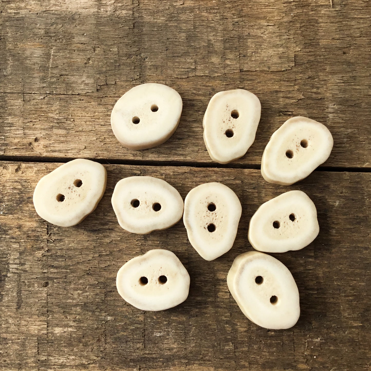 Deer Antler Shed Buttons  1/2" x 3/4" - 9 Pack