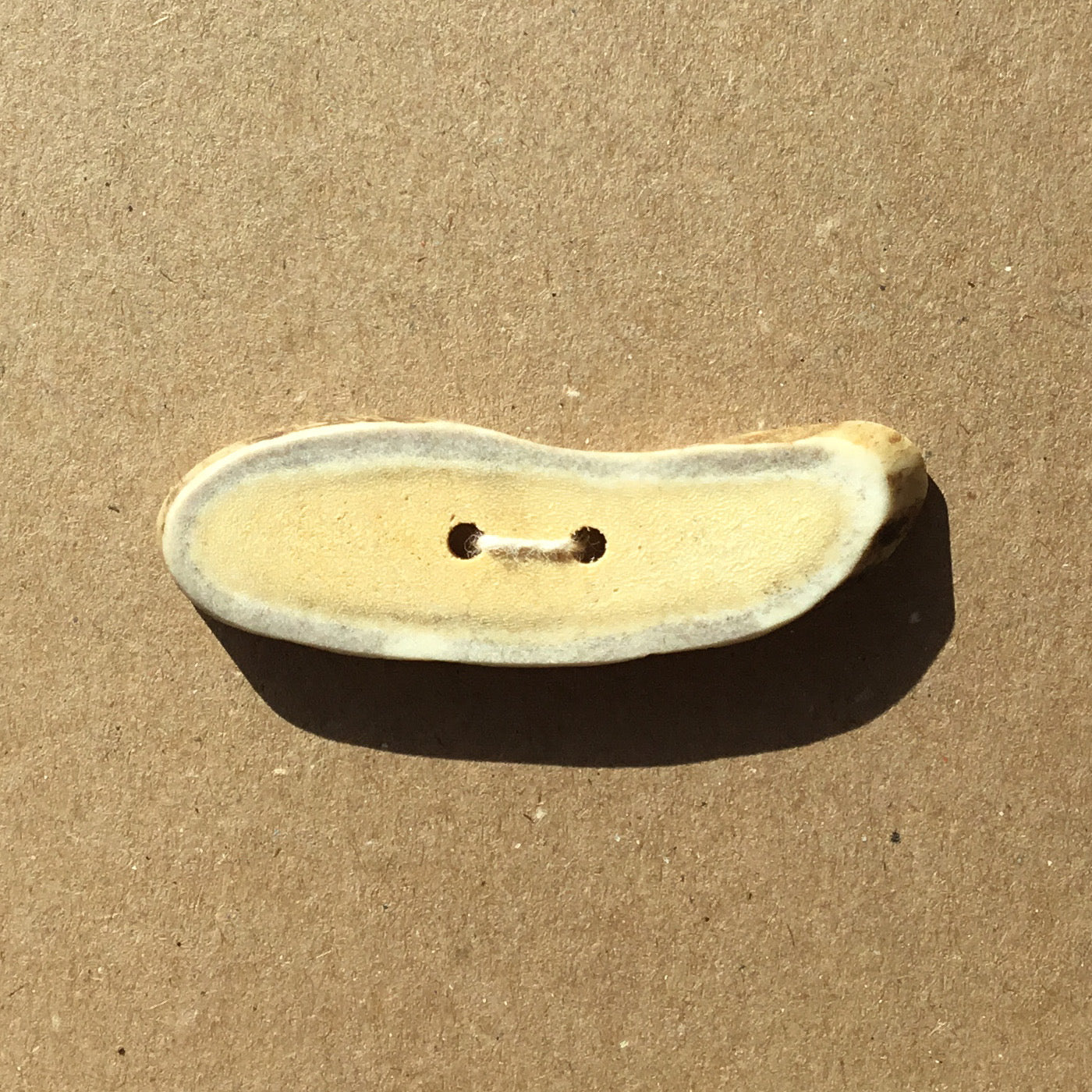 Polished Deer Antler Shed Button  2-5/8" x 3/4"