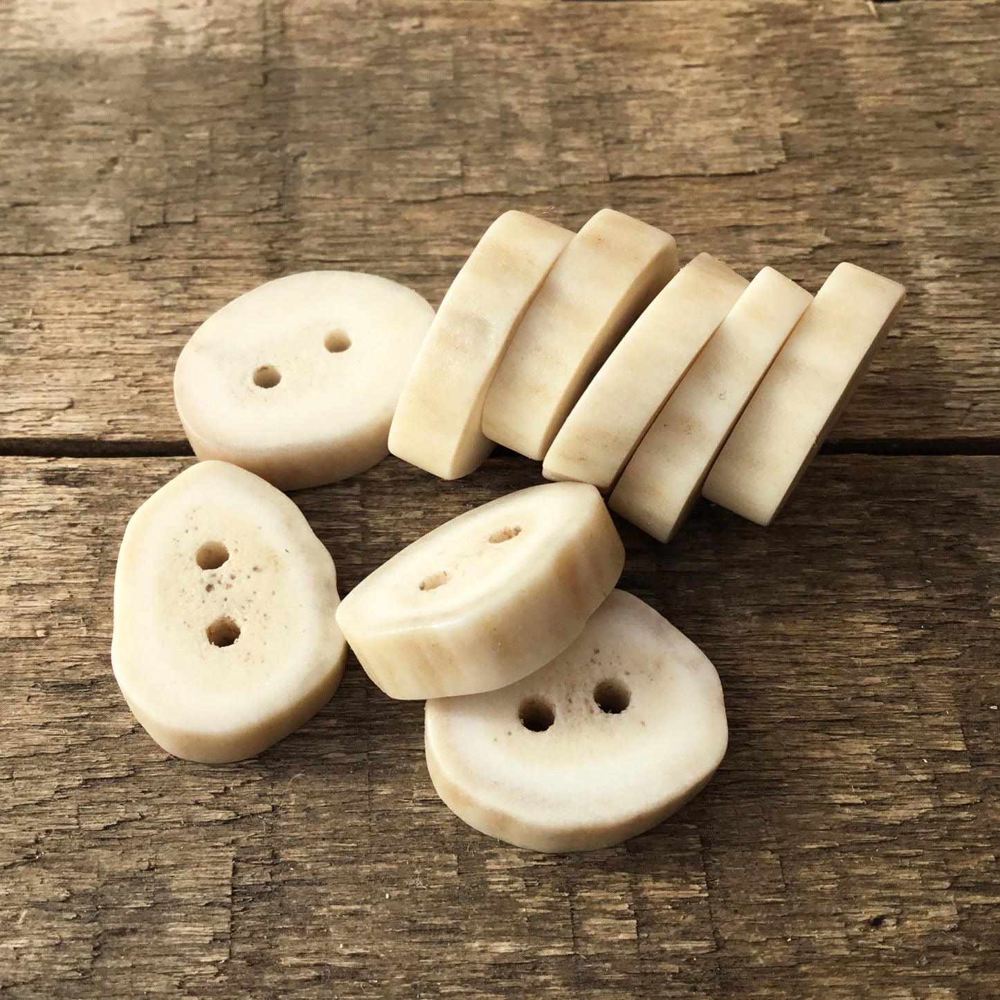 Deer Antler Shed Buttons  1/2" x 3/4" - 9 Pack