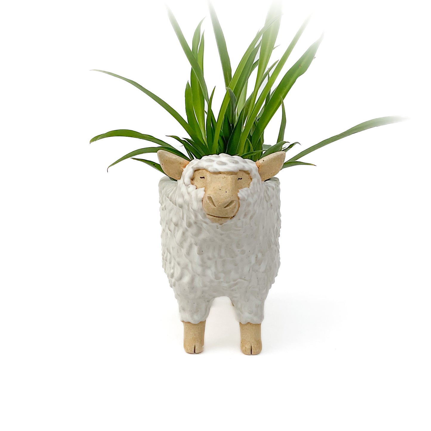 Stoneware Sheep Pot - Ceramic Sheep Planter