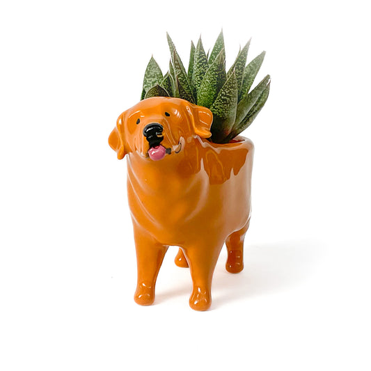 Golden Retriever Dog Planter - Ceramic Dog Plant Pot