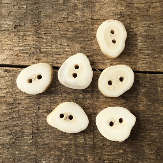 Deer Antler Shed Buttons 9/16" to 3/4" - 6 Pack