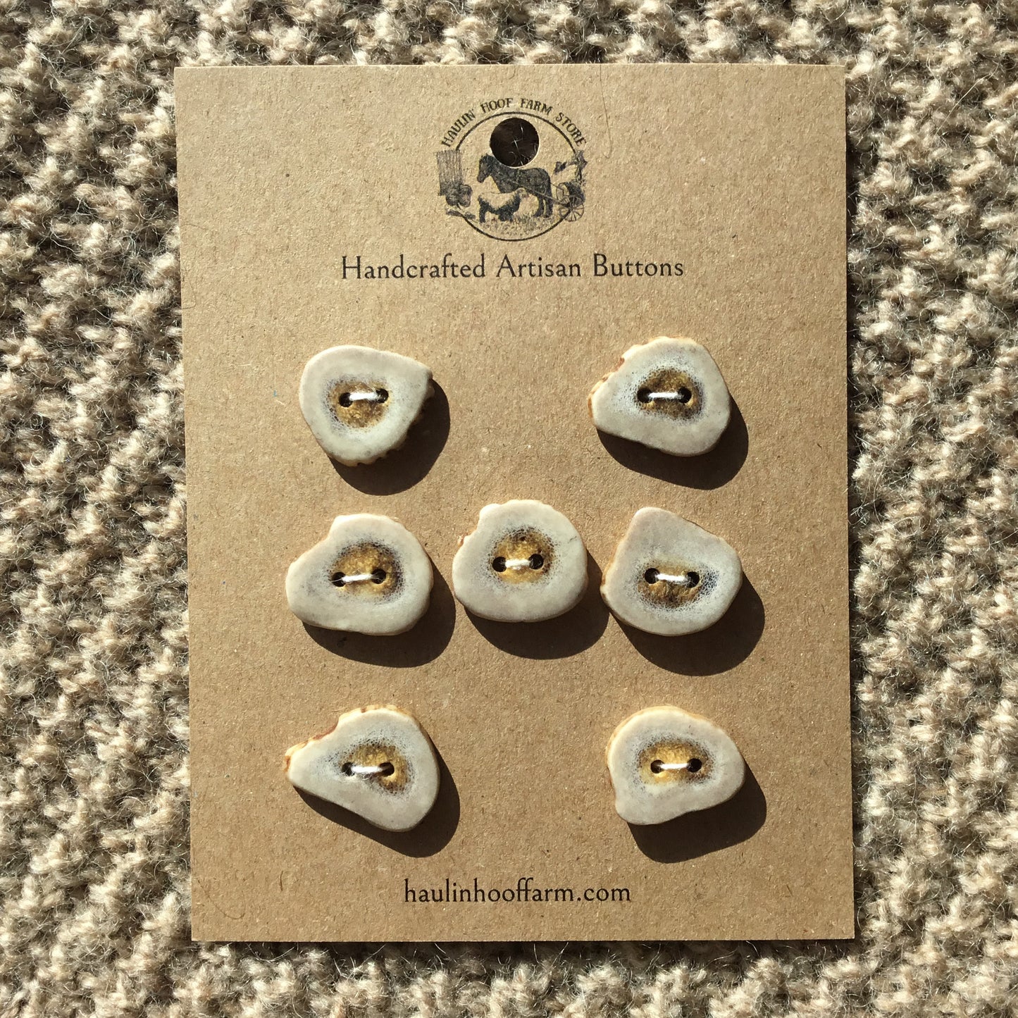 Polished Deer Antler Shed Buttons  7/8"  7-Pack