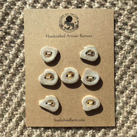 Polished Deer Antler Shed Buttons  7/8"  7-Pack