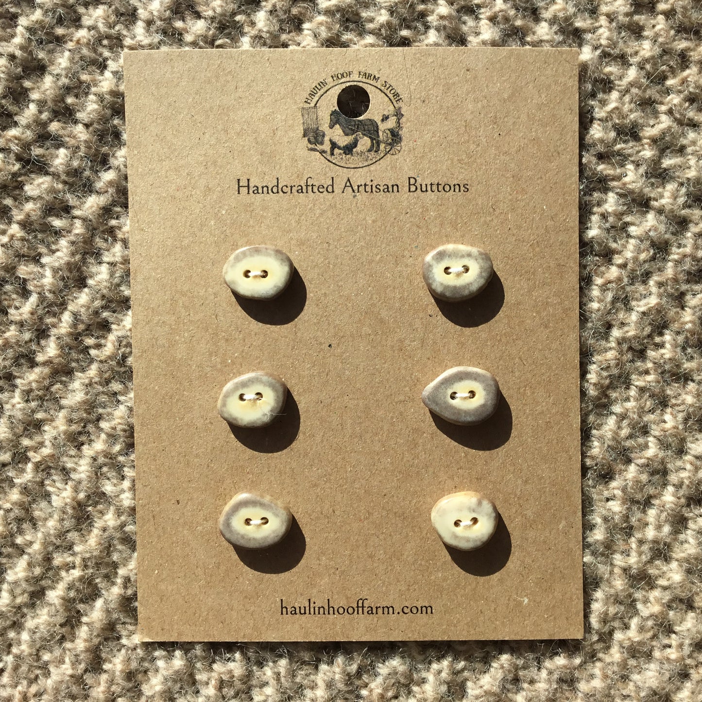 Polished Deer Antler Shed Buttons  11/16"  6-Pack