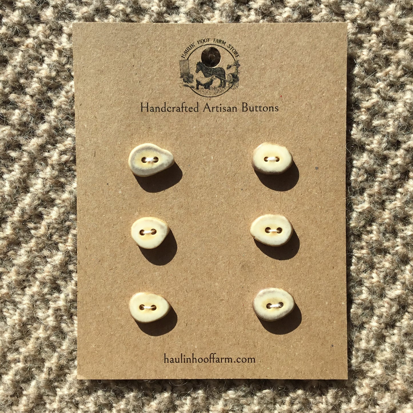 Polished Deer Antler Shed Buttons  5/8"  6-Pack