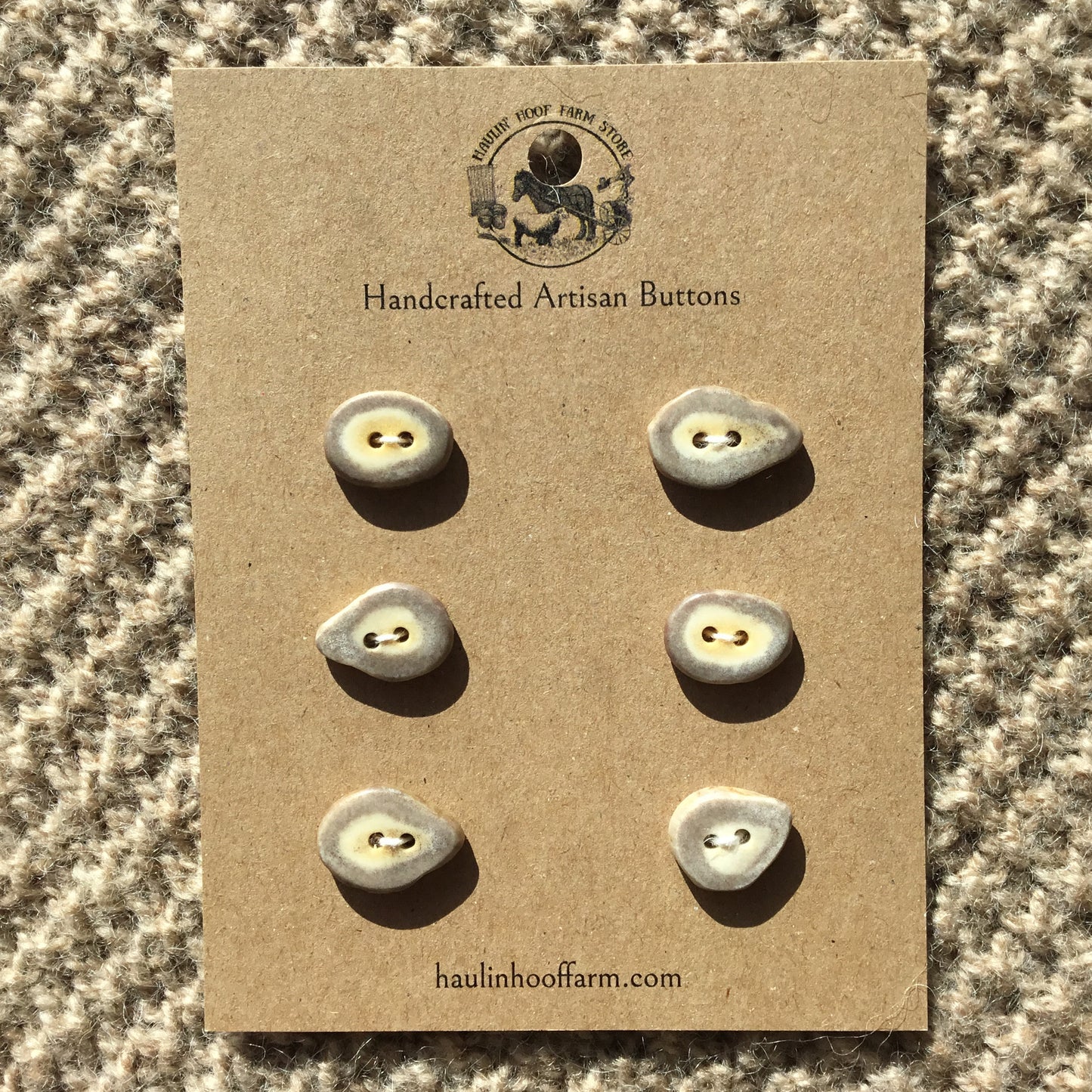 Polished Deer Antler Shed Buttons  3/4"  6-Pack