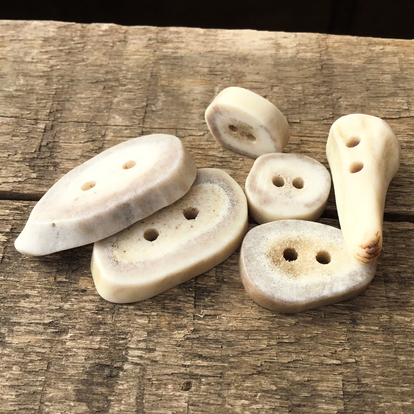 Deer Antler Shed Buttons - Variety 6 Pack