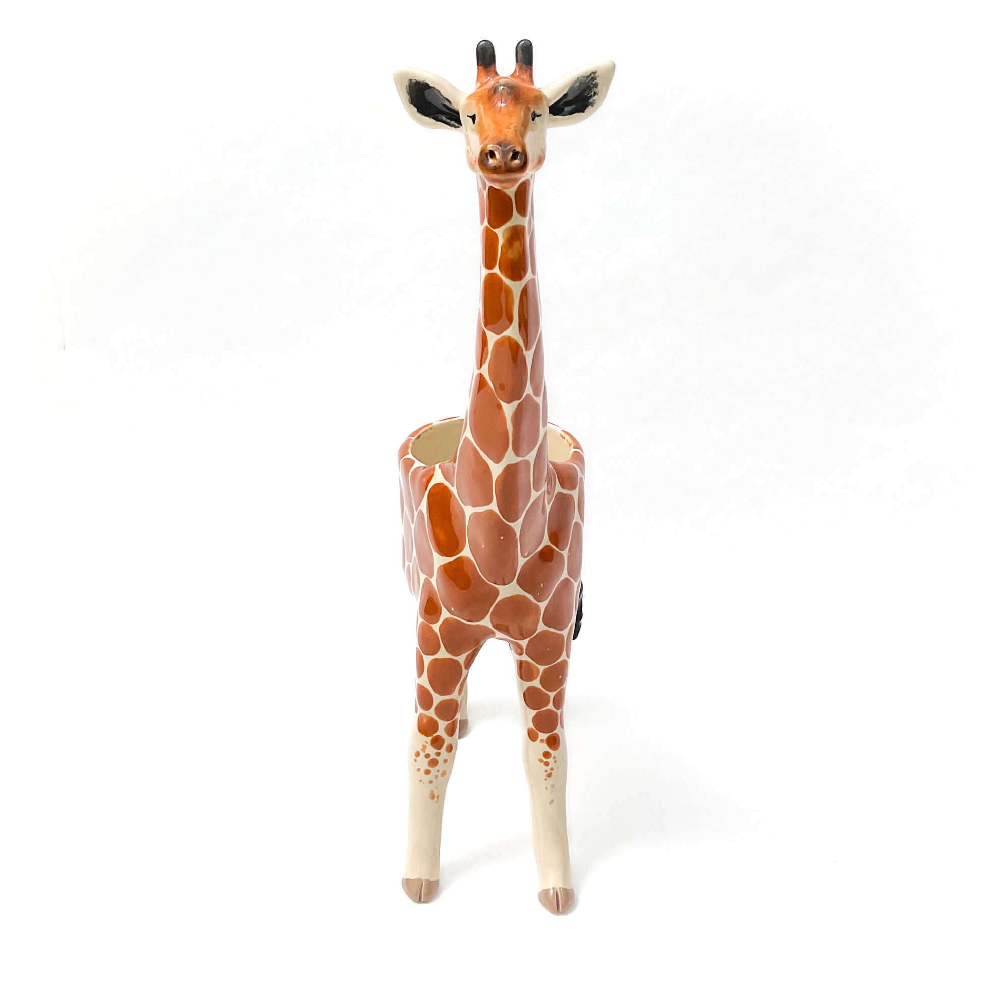 giraffe succulent pot Giraffe Planter