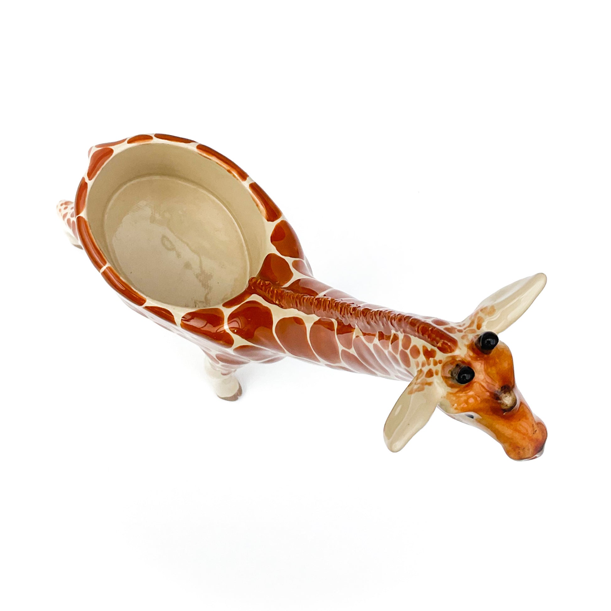 giraffe succulent pot Giraffe Planter