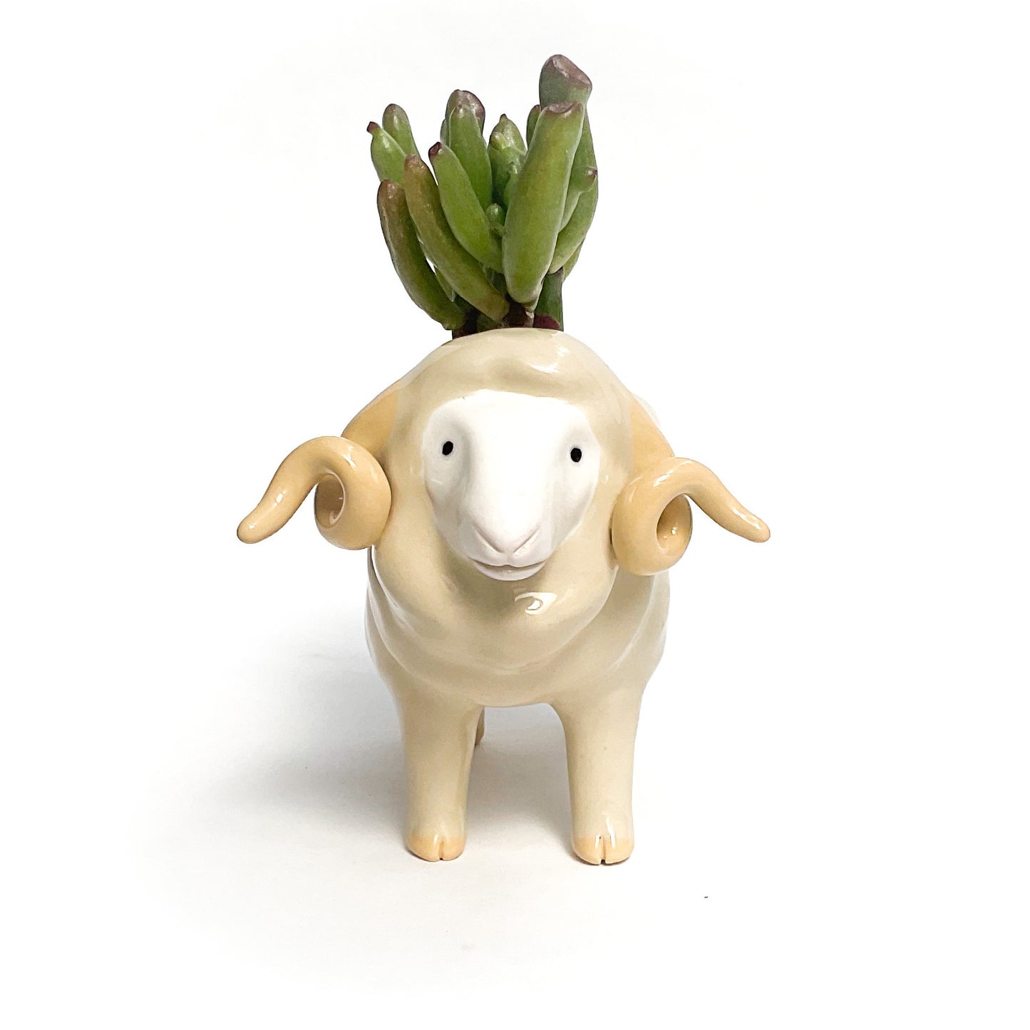 Merino Pot - Ceramic Sheep Planter