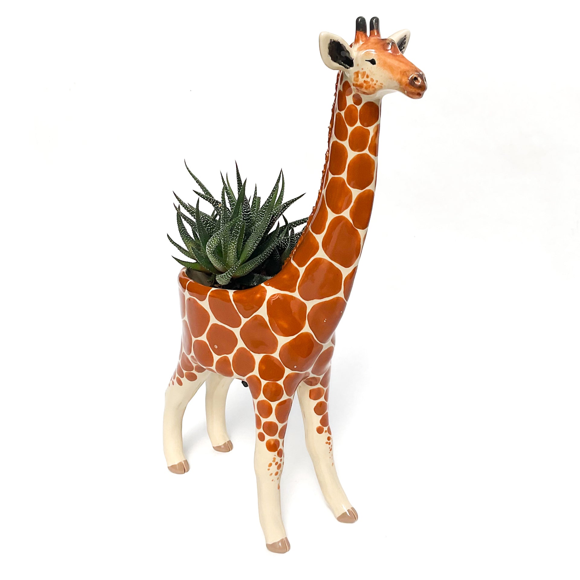 giraffe succulent pot Giraffe Planter