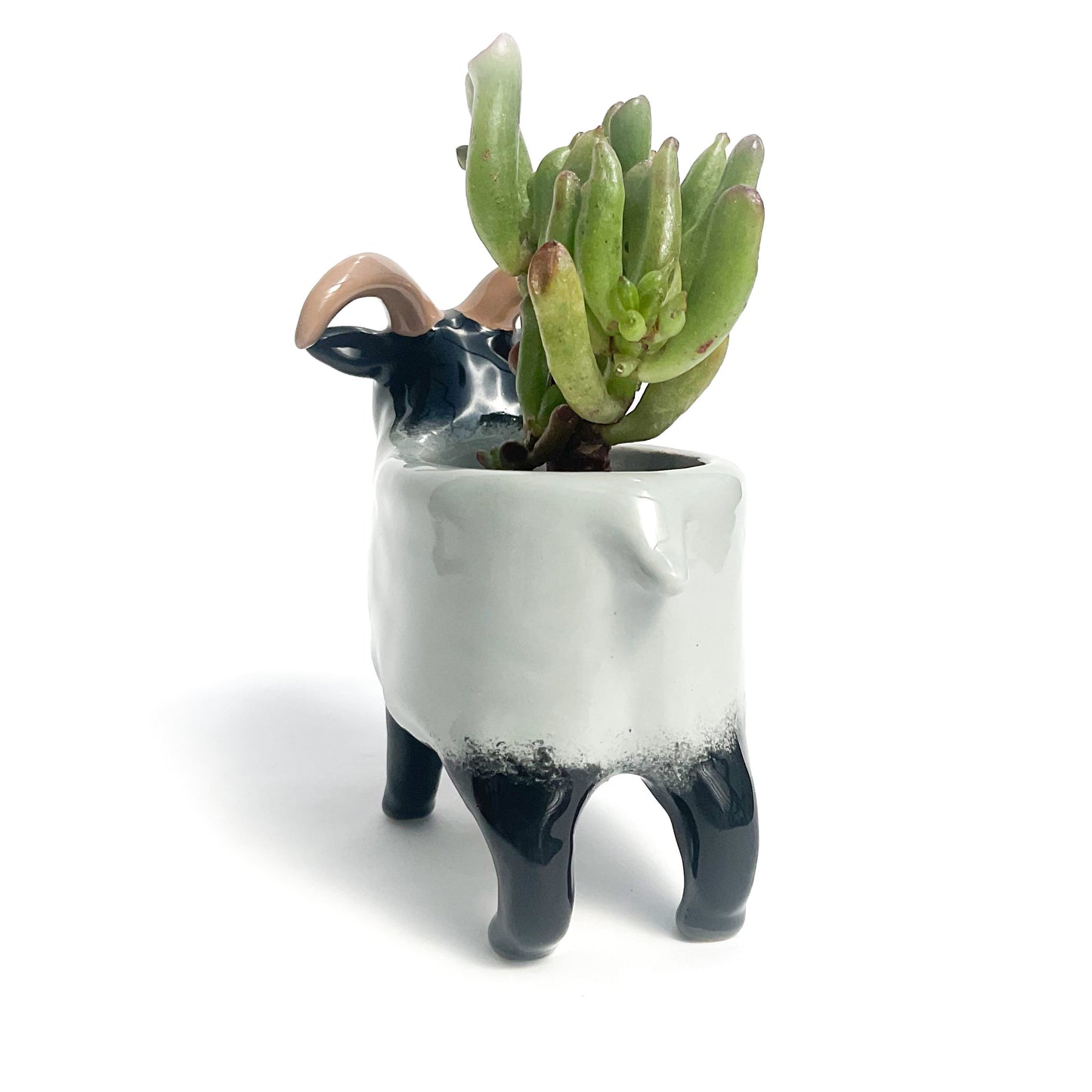 Gray Icelandic Sheep Pot - Ceramic Sheep Planter
